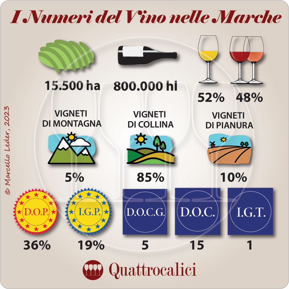 Wine of Marche - Italian Wine Regions