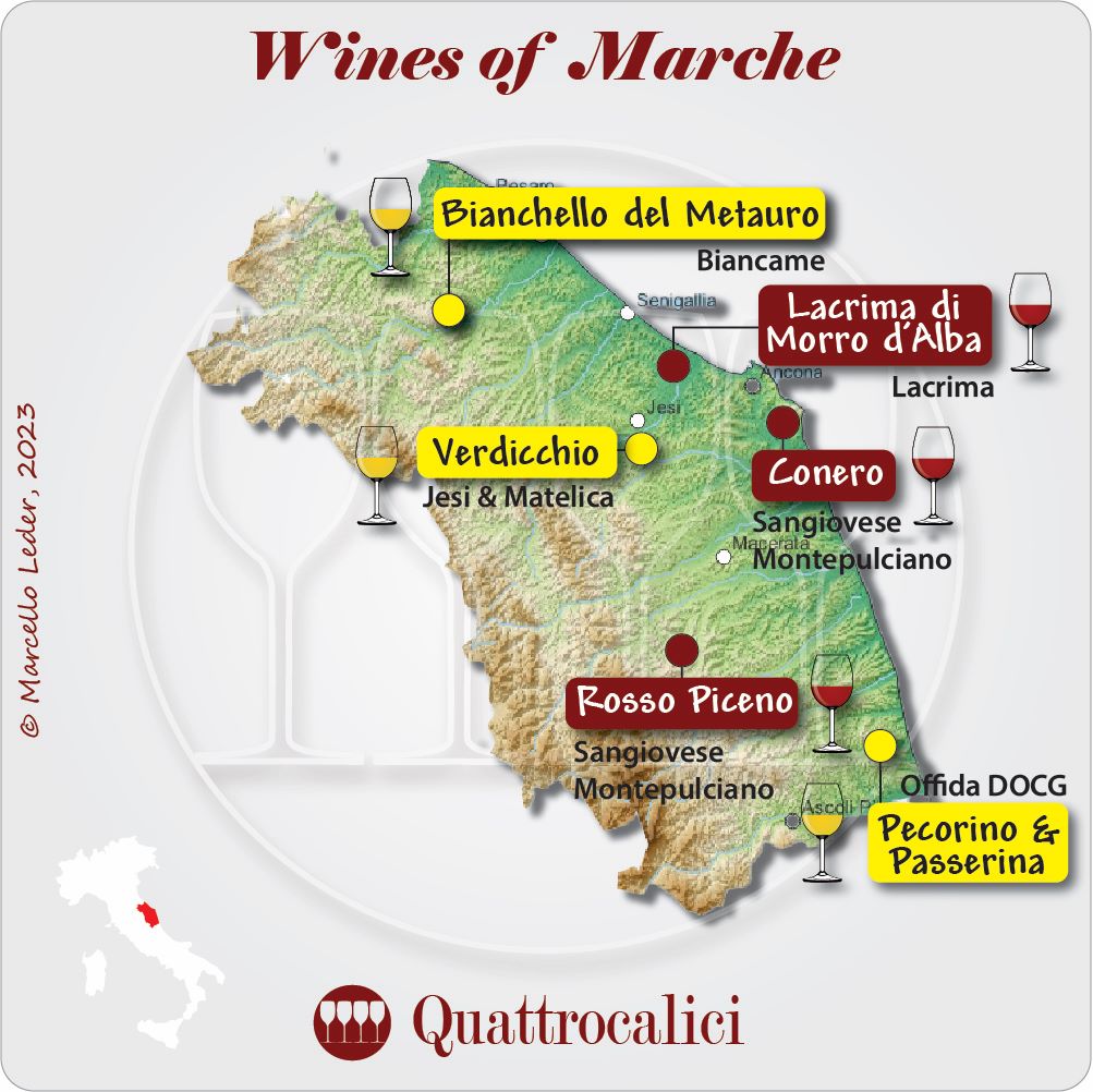 Wine of Marche - Italian Wine Regions