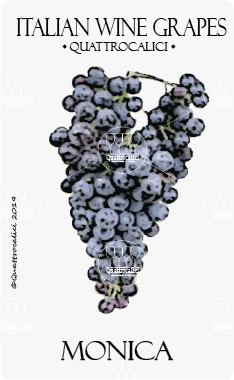 Monica - Quattrocalici - Italian Wine Grapes