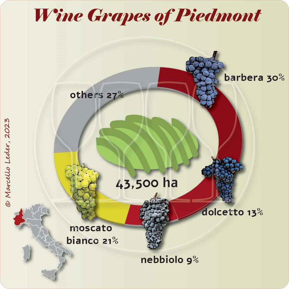 Wine Grapes of Piedmont - Quattrocalici