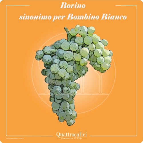 Bovino - Quattrocalici - Italian Wine Grapes